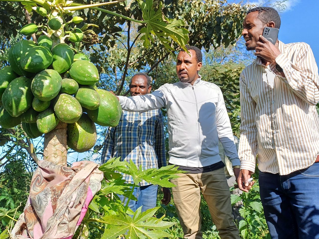 gallery_buildings_one