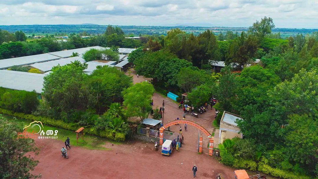 gallery_buildings_two